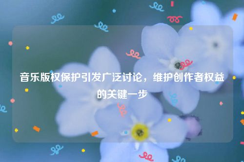 音乐版权保护引发广泛讨论，维护创作者权益的关键一步