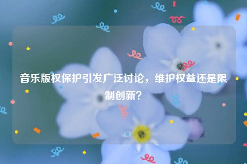 音乐版权保护引发广泛讨论，维护权益还是限制创新？